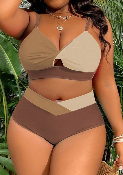Brown Colorblock Cut Out Bikini Set