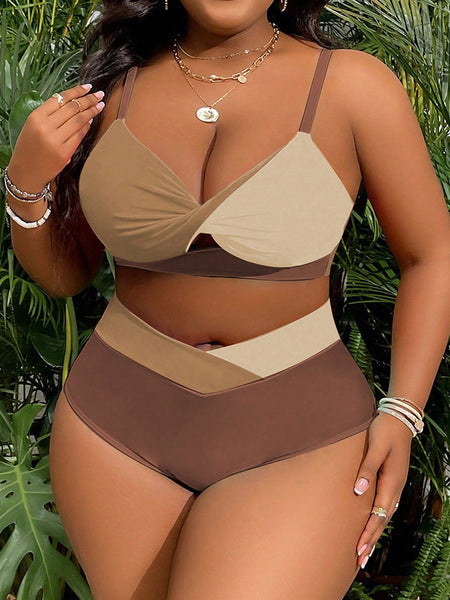 Brown Colorblock Cut Out Bikini Set
