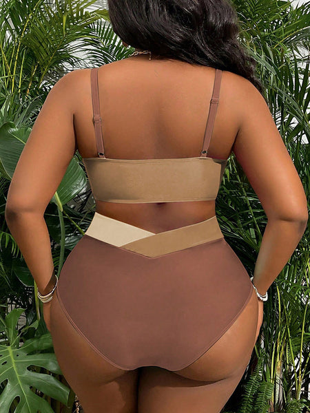 Brown Colorblock Cut Out Bikini Set