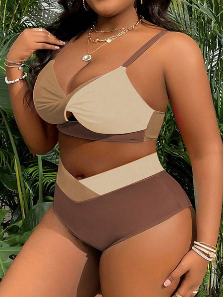Brown Colorblock Cut Out Bikini Set