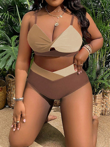 Brown Colorblock Cut Out Bikini Set